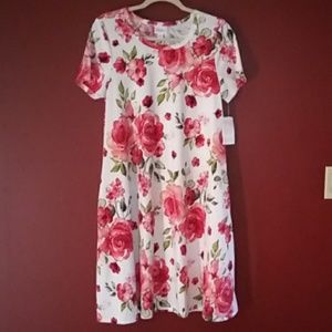 Lularoe Jessie Dress